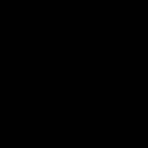 Meet your Posher, Alison